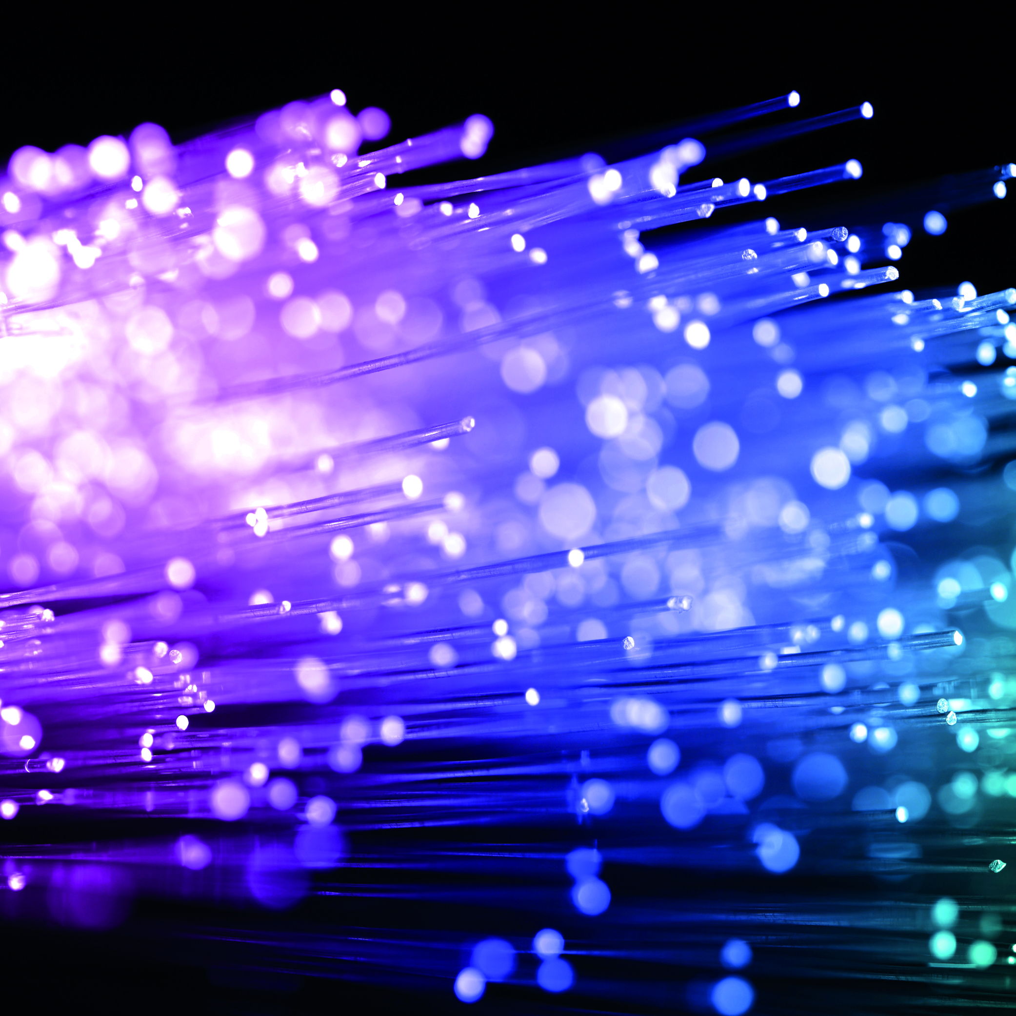 abstract view of fiber optics